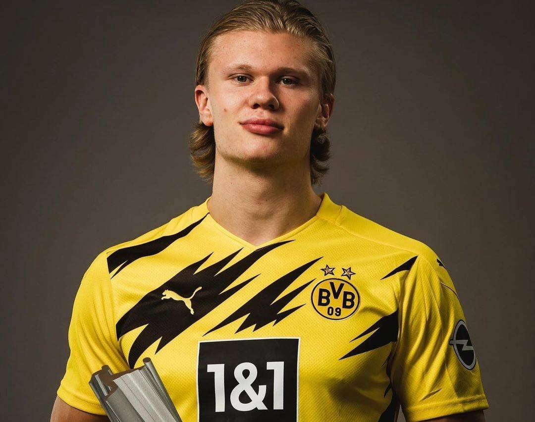 用的变速球 用的变速球